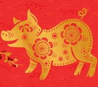 Chinese New Year Party