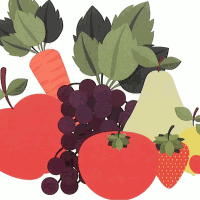 Namaste's Farmers Market