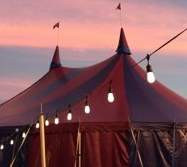 Midnight Circus 4 p.m. Show