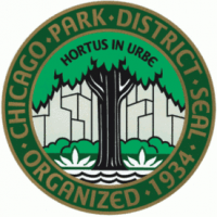 Pond Hockey