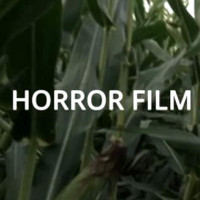 Horror Film Casting Call