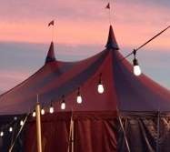 Midnight Circus Noon Show