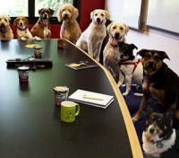 McKinley Dog Park Advisory Council Meeting