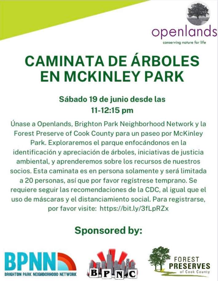 Bilingual Tree Walk in McKinley Park 20210619 poster es