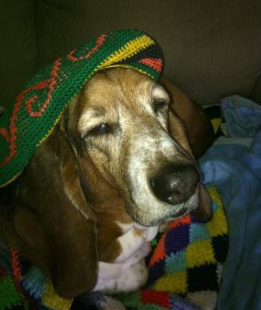 McKinley Park Halloween Rasta Hound
