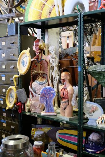 Zap Props Open House Chicago medical models 20181014