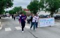 mckinley park memorial day parade 12th ward ipo