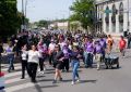 mckinley park memorial day elected officlas marching