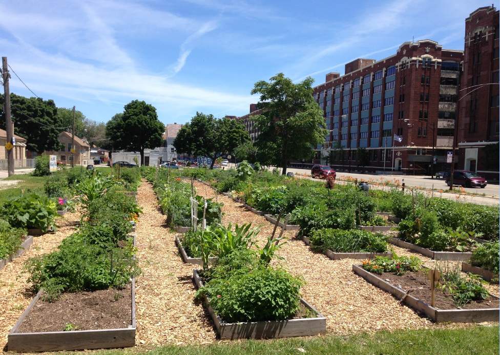 McKinley Park Community Garden Original location