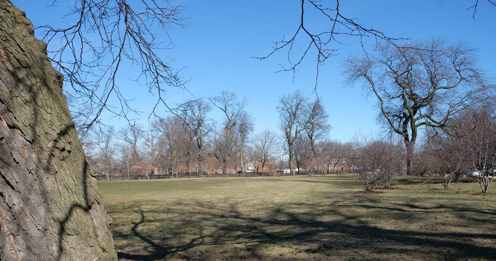 The McKinley Park Community Garden's new location lies in the split between northbound and southbound Damen Avenue south of West 37th Street.