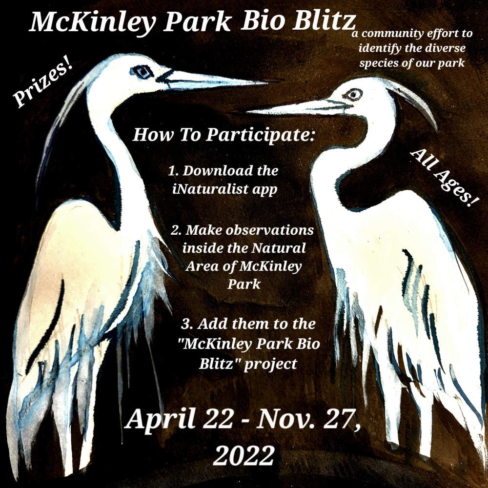 McKinley Park Bio Blitz poster 2022