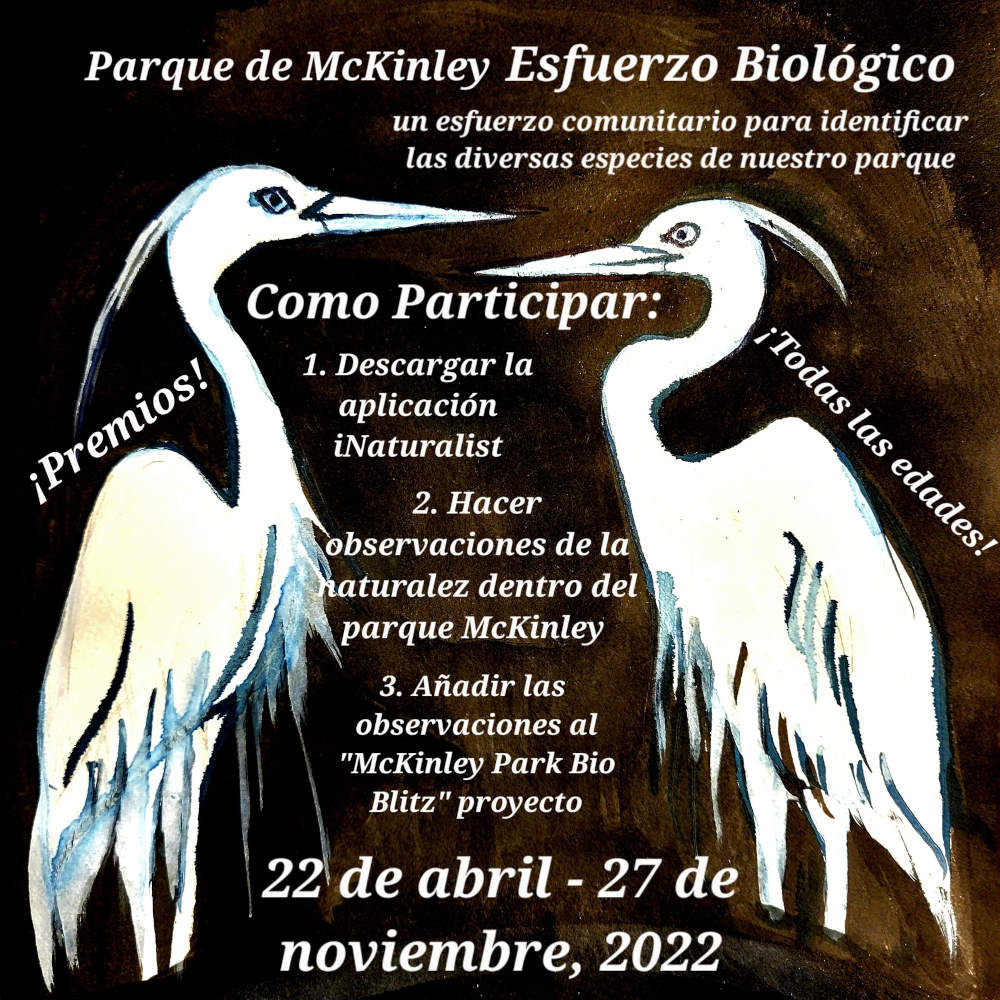 McKinley Park Bio Blitz poster 2022 Spanish